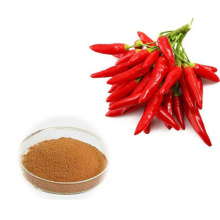 High Quality Pure Chili Pepper Extract Powder Herb Cayenne pepper  Extract